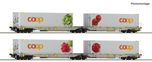 Roco 6600322 2er Set Doppeltaschenwagen T2000 + Coop #1